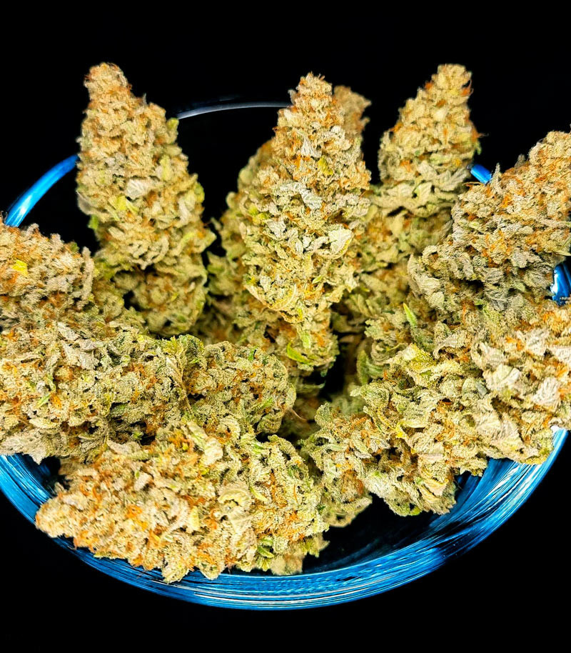 Сорт Monster Moby fem (Monster Genetics) Сорт Monster Moby fem (Monster Genetics) — изображение 3