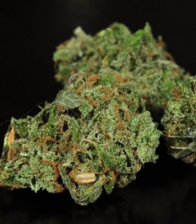 Семена сорта Super Lemon Haze fem (GHS) Семена сорта Super Lemon Haze fem (GHS) — изображение 3