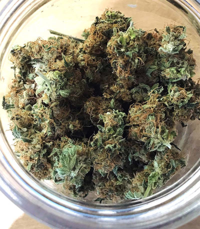 Acapulco Gold (Barney's Farm) семена конопли Acapulco Gold (Barney's Farm) семена конопли — изображение 3