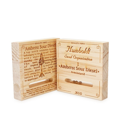 Amherst Sour Diesel (Humboldt Seeds) семена конопли Amherst Sour Diesel (Humboldt Seeds) семена конопли — изображение 2