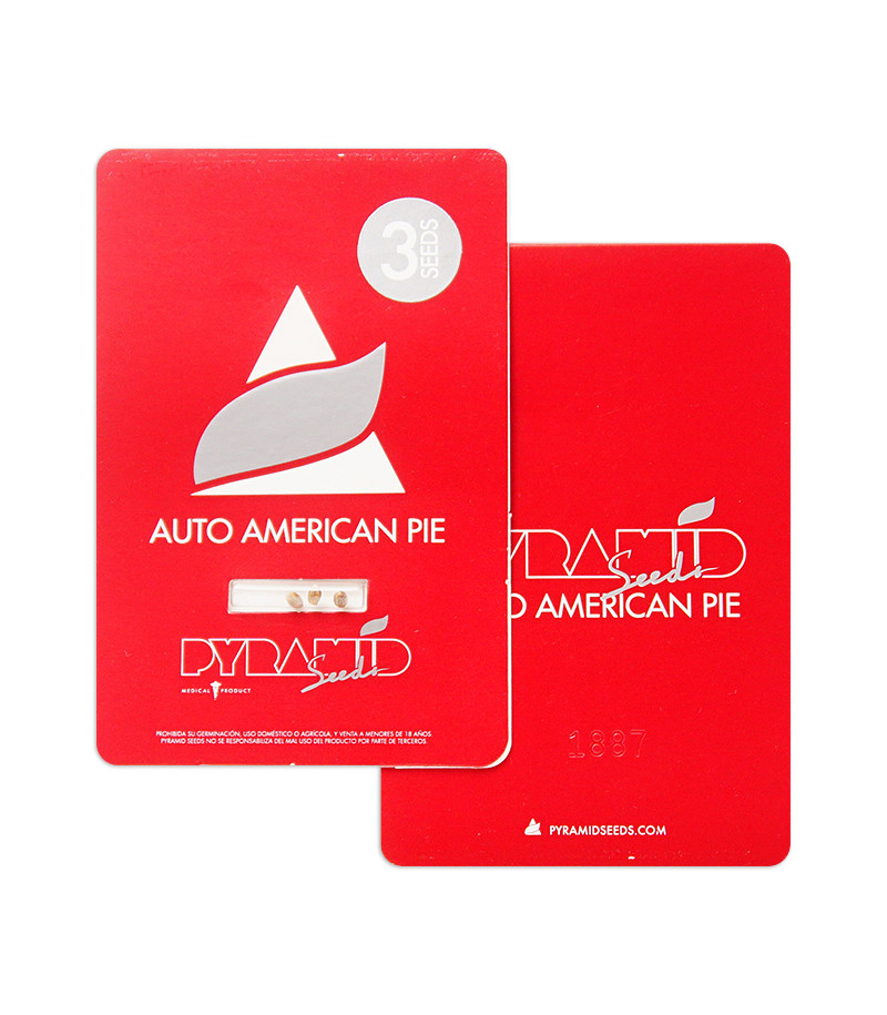 Auto American Pie fem (Pyramid Seeds) Auto American Pie fem (Pyramid Seeds) — изображение 2