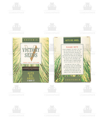Auto Big Angel fem (Victory Seeds) Auto Big Angel fem (Victory Seeds) — изображение 2