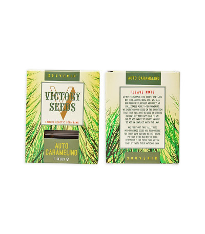 Семена сорта Auto Caramelino (Victory Seeds) Семена сорта Auto Caramelino (Victory Seeds) — изображение 2