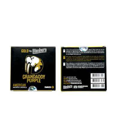 Сорт Grandaddy Purple fem (Blimburn Seeds) Сорт Grandaddy Purple fem (Blimburn Seeds) — изображение 2