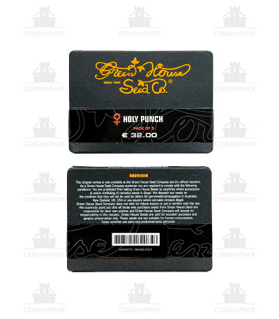 Holy Punch fem (GHS) Holy Punch fem (GHS) — изображение 3