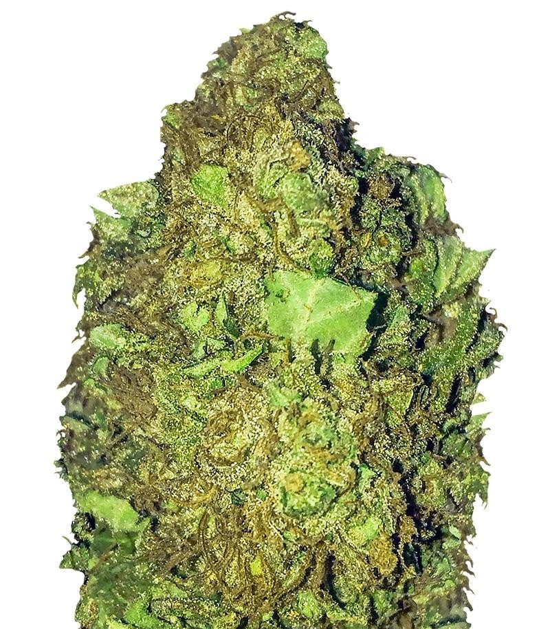 Short & Sweet Auto fem (Heavyweight Seeds) Short & Sweet Auto fem (Heavyweight Seeds)