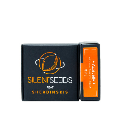 Сорт Açai Jelly by Sherbinskis fem (Silent Seeds) Сорт Açai Jelly by Sherbinskis fem (Silent Seeds) — изображение 2