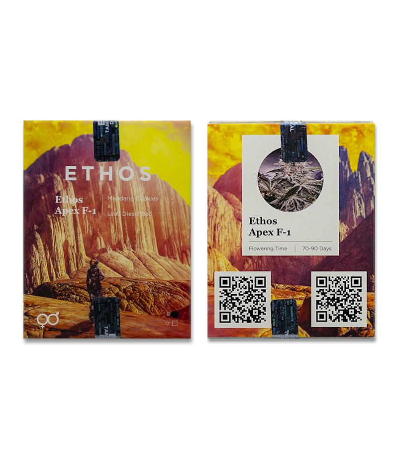 Сорт GMO Zkittlez F1 reg (Ethos Genetics) Сорт GMO Zkittlez F1 reg (Ethos Genetics)