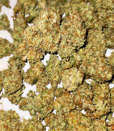 Сорт Gelato Glue Autoflower fem (Easy Grow Seeds) Сорт Gelato Glue Autoflower fem (Easy Grow Seeds) — изображение 4