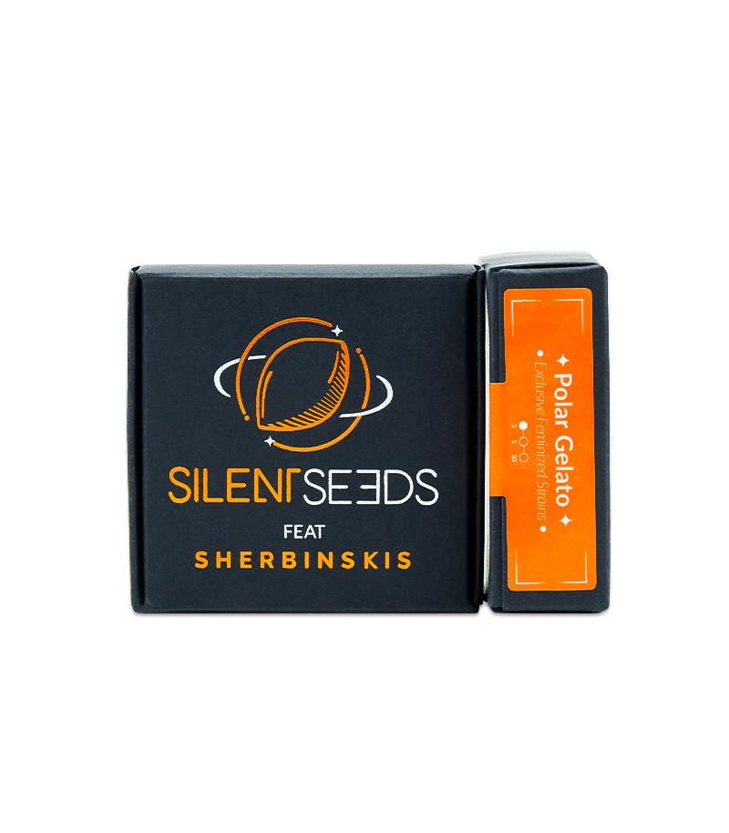 Сорт Polar Gelato by Sherbinskis fem (Silent Seeds) Сорт Polar Gelato by Sherbinskis fem (Silent Seeds) — изображение 2