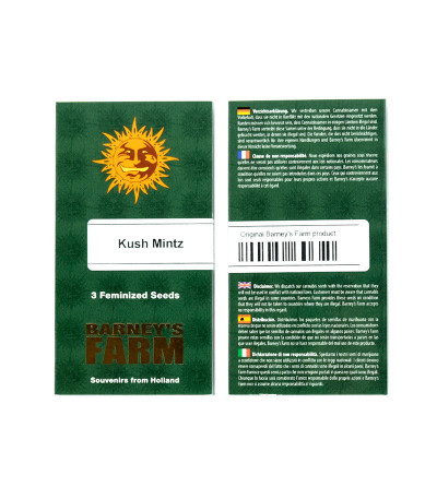 Сорт Kush Mintz fem (Barney's Farm) Сорт Kush Mintz fem (Barney's Farm) — изображение 2