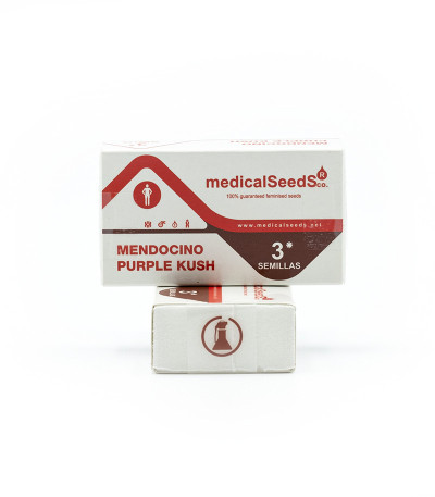 Сорт Mendocino Purple Kush fem (Medical Seeds) Сорт Mendocino Purple Kush fem (Medical Seeds) — изображение 2