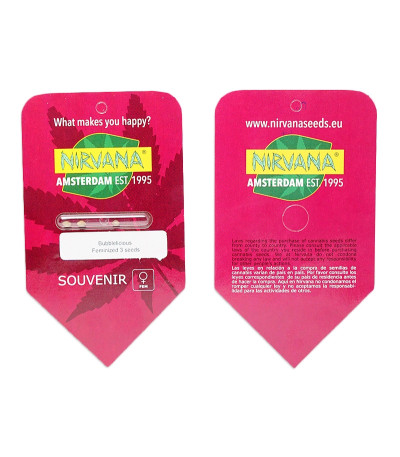 Сорт Bubblelicious fem (Nirvana Seeds) Сорт Bubblelicious fem (Nirvana Seeds) — изображение 2