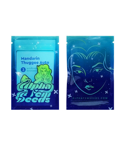 Сорт Mandarin Thuggee Auto fem (AlphaFem Seeds) Сорт Mandarin Thuggee Auto fem (AlphaFem Seeds) — изображение 2