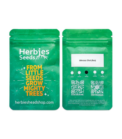 Сорт Mimosa Shot fem (Herbies Seeds) Сорт Mimosa Shot fem (Herbies Seeds) — изображение 2