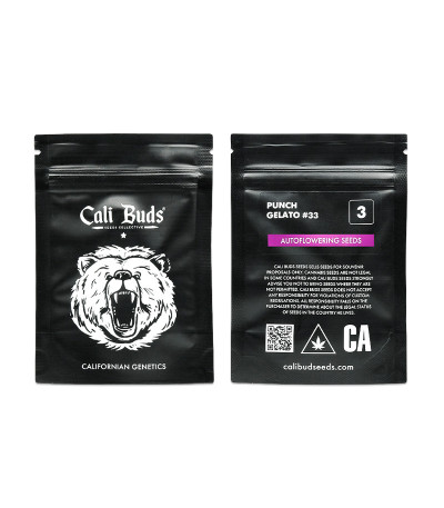 Сорт Punch Gelato #33 Auto fem (Cali Buds Seeds) Сорт Punch Gelato #33 Auto fem (Cali Buds Seeds) — изображение 2