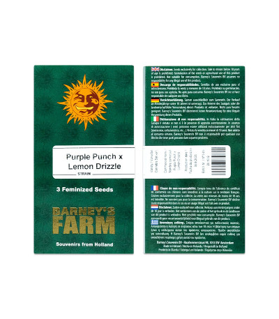 Сорт Purple Punch X Lemon Drizzle fem (Barney's Farm) Сорт Purple Punch X Lemon Drizzle fem (Barney's Farm) — изображение 2