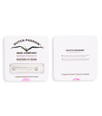 Сорт StarRyder auto fem (Dutch Passion) Сорт StarRyder auto fem (Dutch Passion) — изображение 3