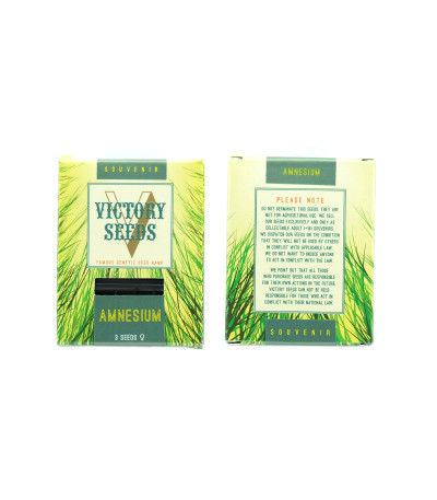 Сорт Amnesium fem (Victory Seeds) Сорт Amnesium fem (Victory Seeds) — изображение 2