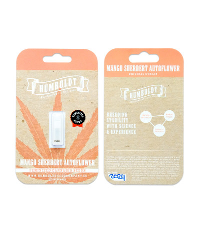 Сорт Mango Sherbert Auto fem (Humboldt Seed Company) Сорт Mango Sherbert Auto fem (Humboldt Seed Company) — изображение 2