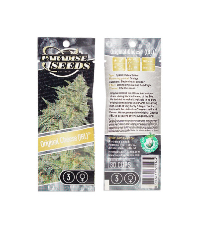 Сорт Original Cheese IBL fem (Paradise Seeds) Сорт Original Cheese IBL fem (Paradise Seeds) — изображение 2