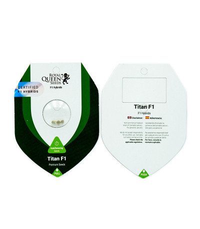 Сорт Titan F1 Auto fem (RQS) Сорт Titan F1 Auto fem (RQS) — изображение 2