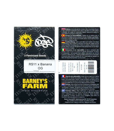 Сорт RS11 x Banana OG fem (Barney's Farm) Сорт RS11 x Banana OG fem (Barney's Farm) — изображение 2