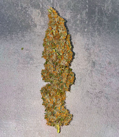 Сорт Black Muffin F1 Fast Version fem (Sweet Seeds) Сорт Black Muffin F1 Fast Version fem (Sweet Seeds) — изображение 4