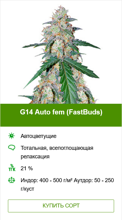 Полив конопли