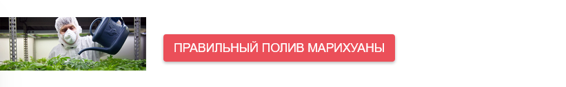 Грунт для конопли