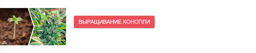 Грунт для конопли