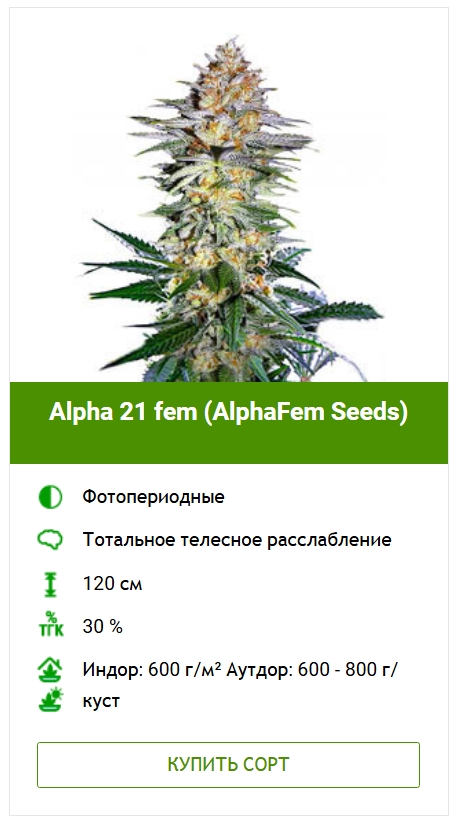Болезни листьев конопли