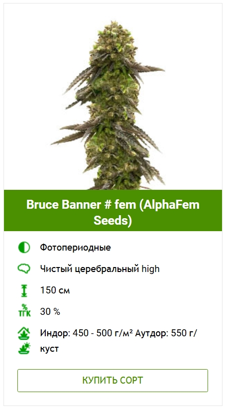 Болезни листьев конопли