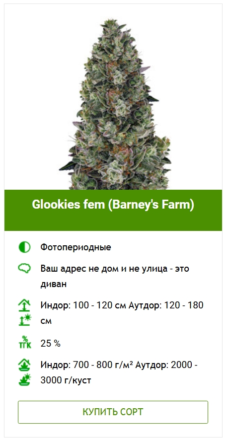 Выращивание конопли