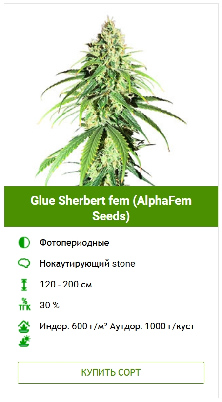 Болезни листьев конопли