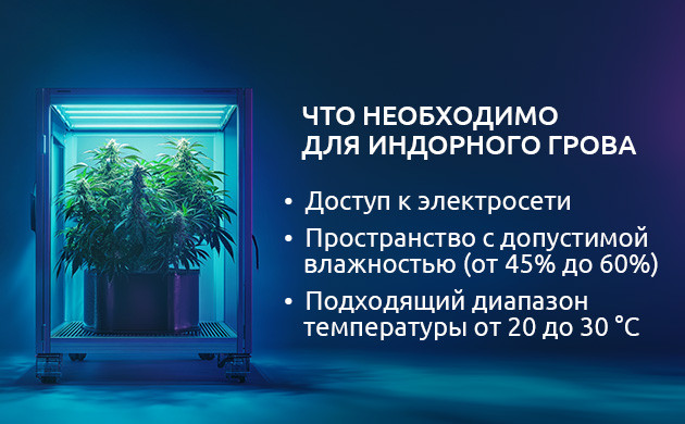 Выращивание конопли