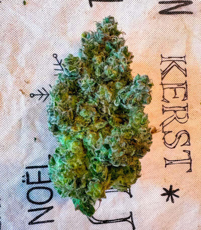 Сорт Jealousy Kush fem (Seedkeepers) Сорт Jealousy Kush fem (Seedkeepers) — изображение 4